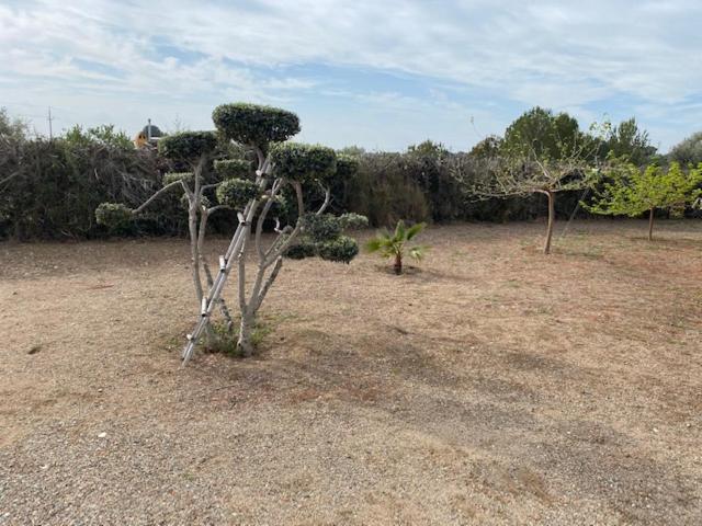 Lo Tros Holiday home Botarell